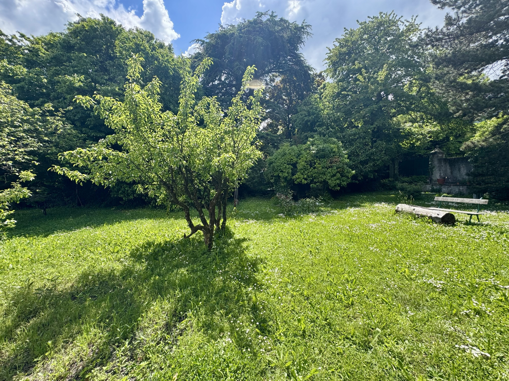 (73) SAINT-JEAN-DE-MAURIENNE - Terrain constructible - Rare à la vente - Plein Sud #20