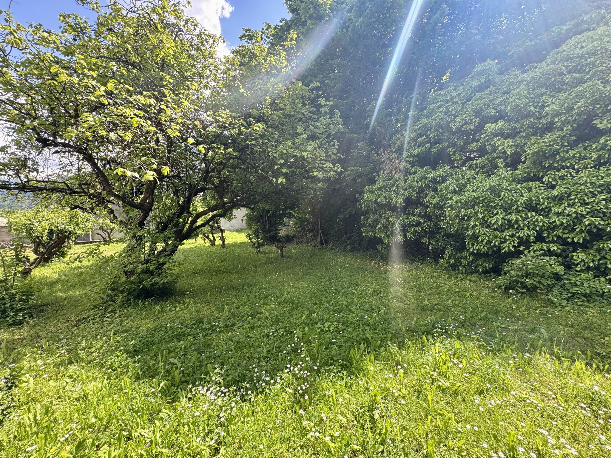 (73) SAINT-JEAN-DE-MAURIENNE - Terrain constructible - Rare à la vente - Plein Sud #16