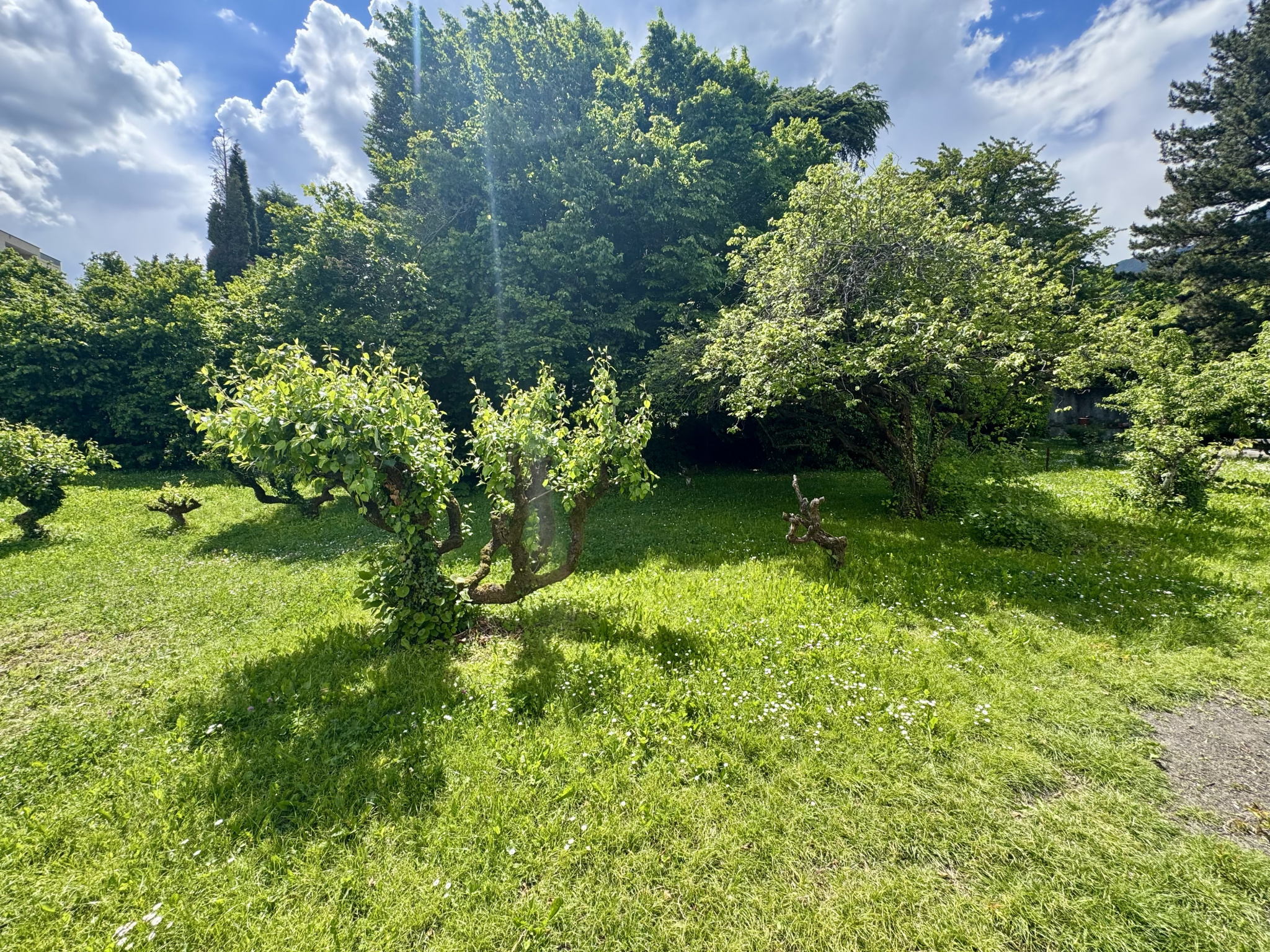 (73) SAINT-JEAN-DE-MAURIENNE - Terrain constructible - Rare à la vente - Plein Sud #4