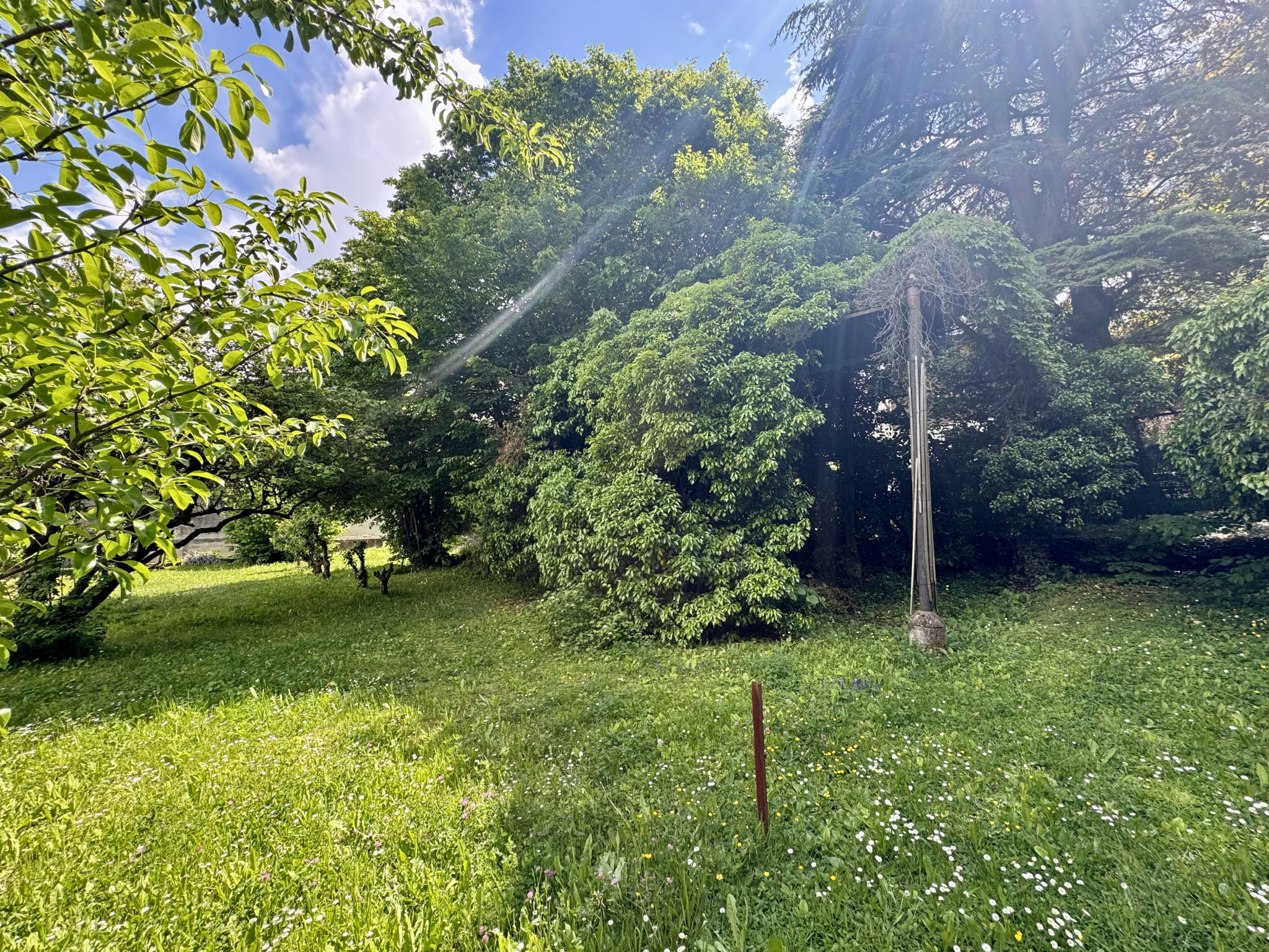 (73) SAINT-JEAN-DE-MAURIENNE - Terrain constructible - Rare à la vente - Plein Sud #19