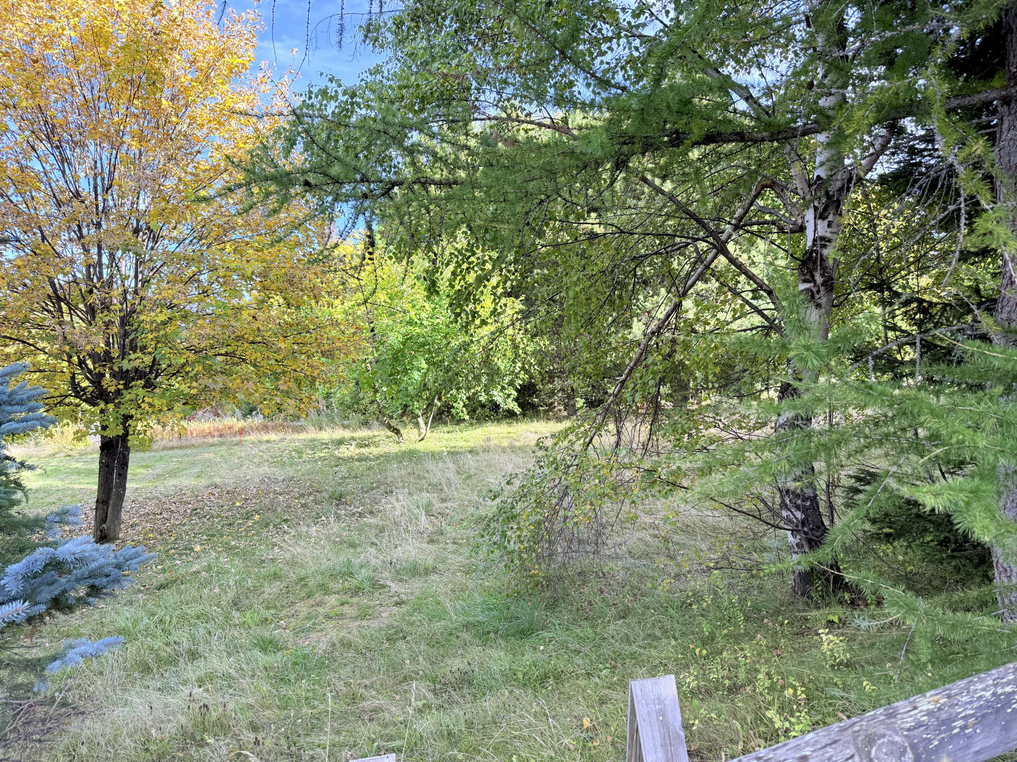 (73) LA TOUSSUIRE - RARE TERRAIN AVEC PC PURGÉ - 600m2 #9