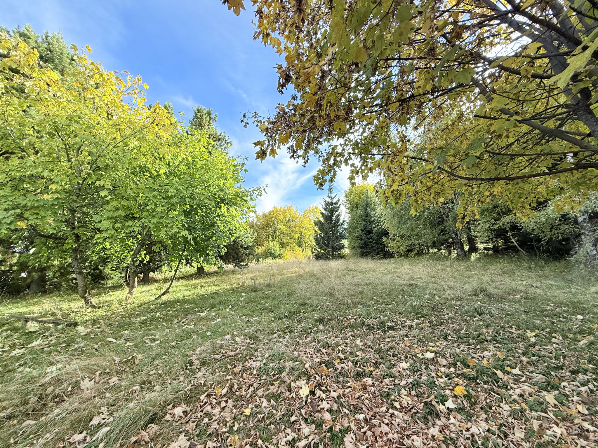 (73) LA TOUSSUIRE - RARE TERRAIN AVEC PC PURGÉ - 600m2 #5