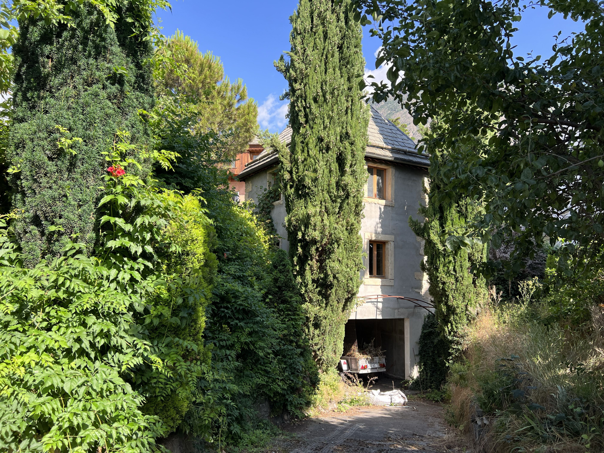 (73) SAINT-JEAN DE MAURIENNE - CENTRE - Sublime demeure de caractère - Dépendances - UNIQUE #33