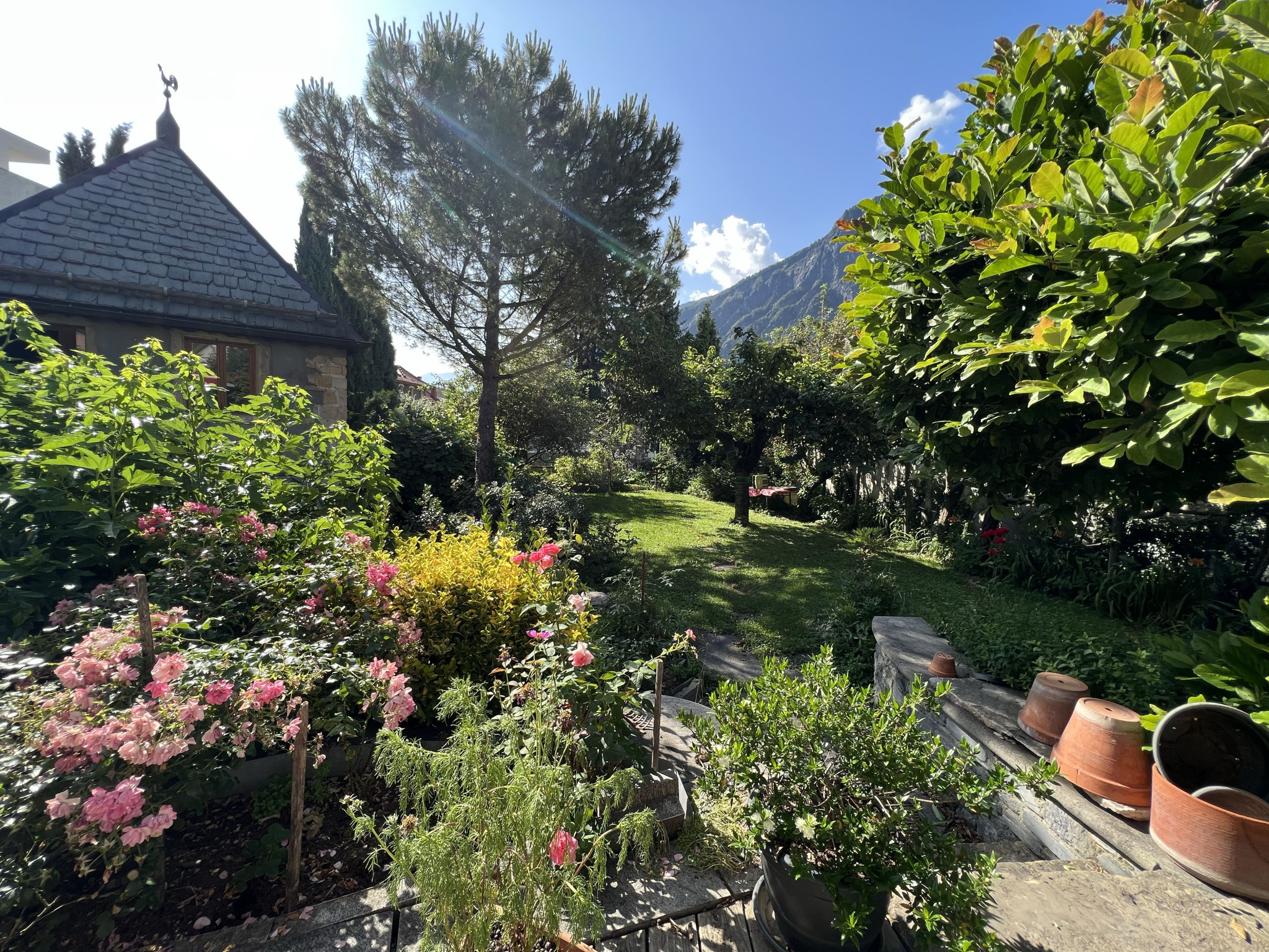 (73) SAINT-JEAN DE MAURIENNE - CENTRE - Sublime demeure de caractère - Dépendances - UNIQUE #16