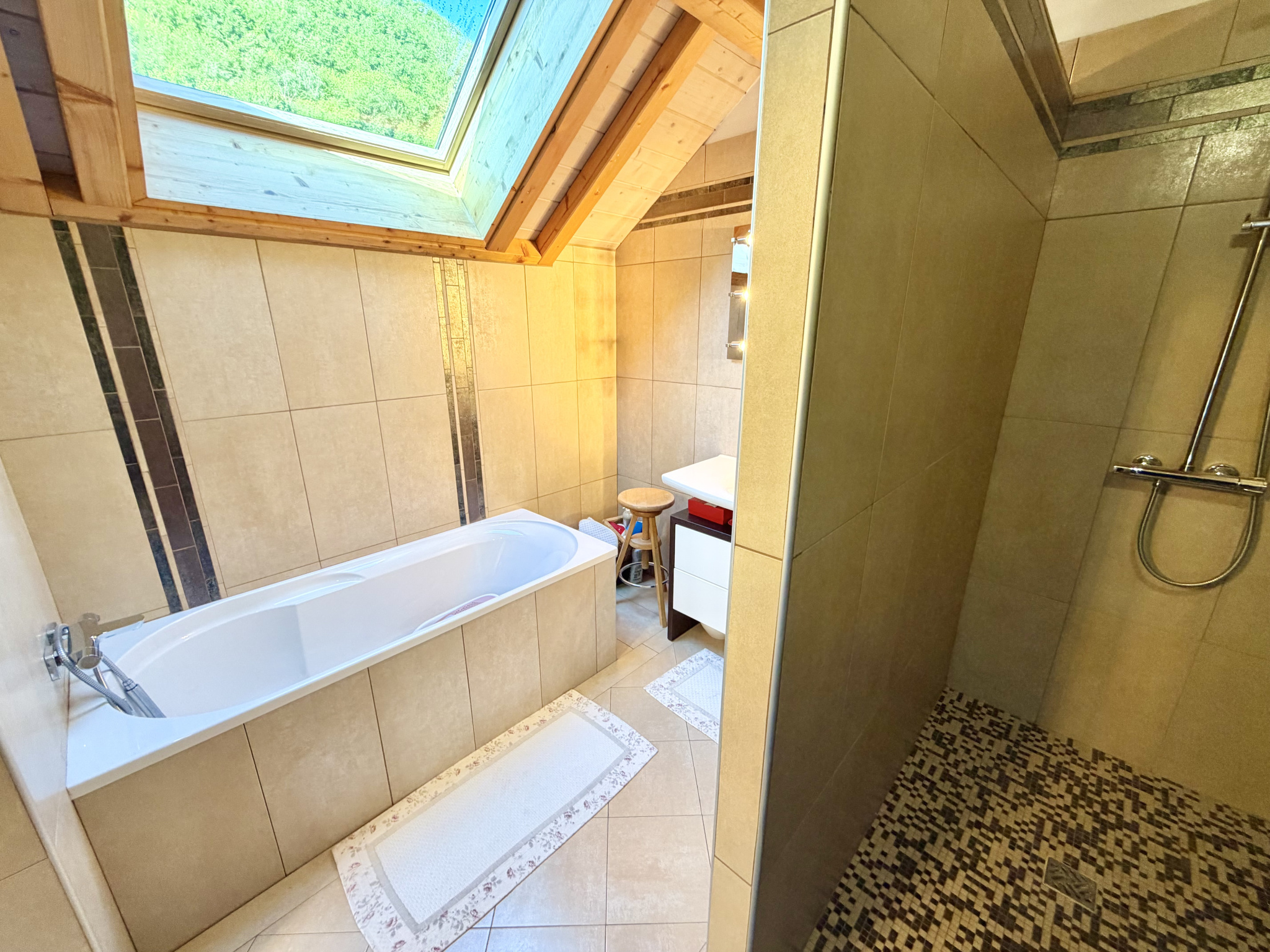 (73) SAINT PANCRACE - Sublime Villa d'architecte & Terrain constructible - RARE OPPORTUNITÉ #20