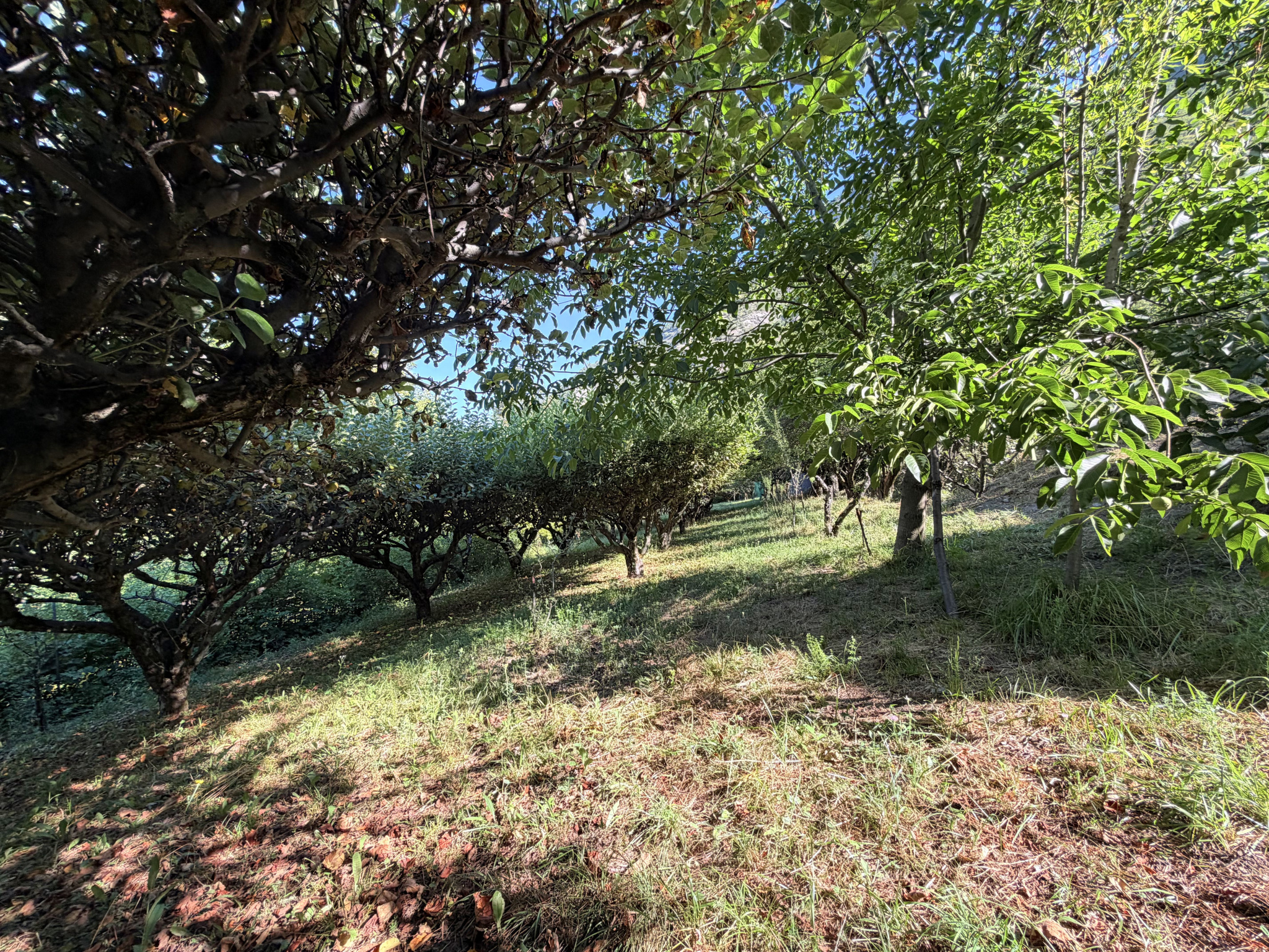 À VENDRE   EXCLUSIVITÉ  (73) SAINT-JULIEN-MONT-DENIS   TERRAIN DE 1 446 m2 DONT 760 m2 CONSTRUCTIBLES #11