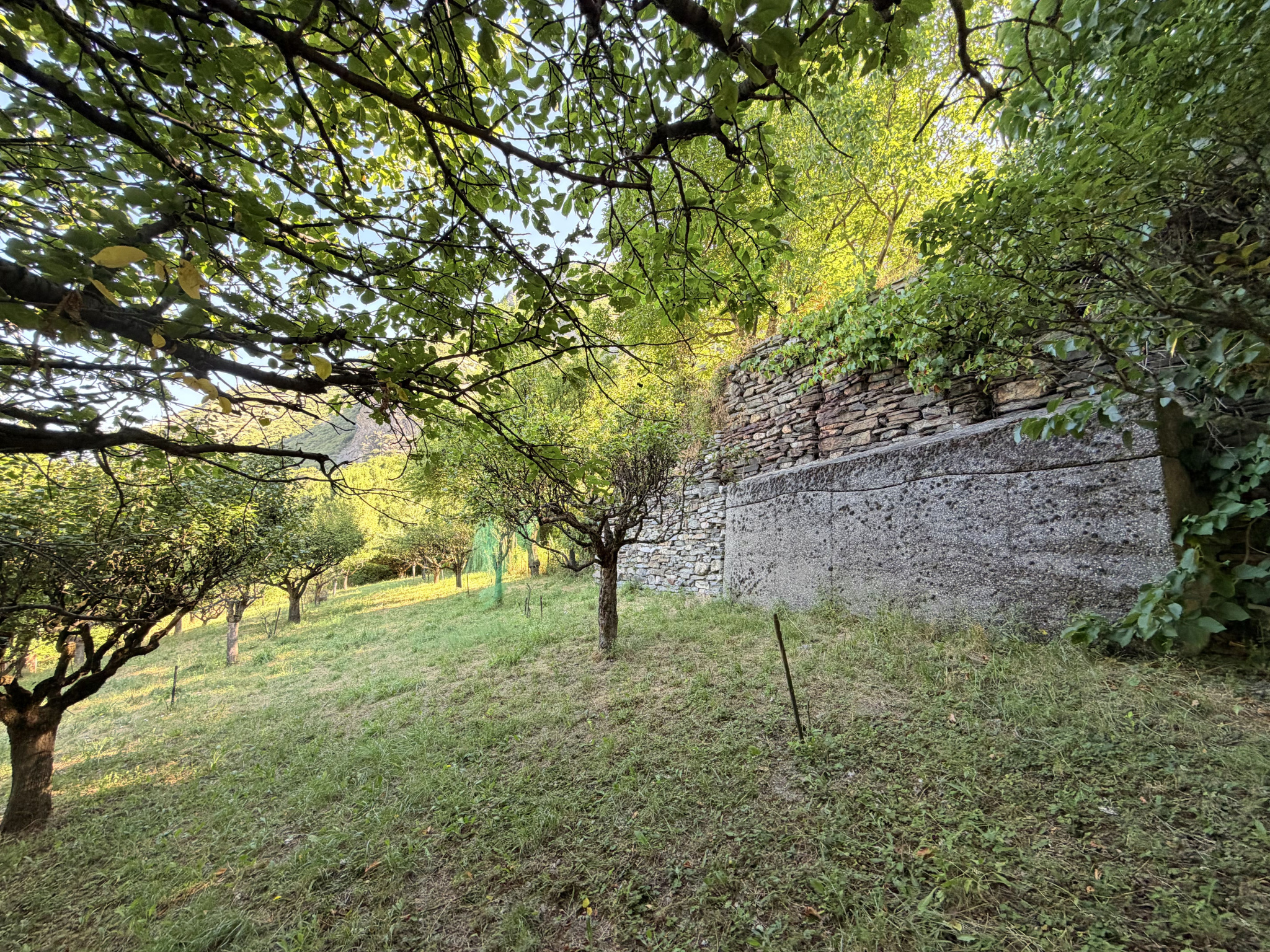 À VENDRE   EXCLUSIVITÉ  (73) SAINT-JULIEN-MONT-DENIS   TERRAIN DE 1 446 m2 DONT 760 m2 CONSTRUCTIBLES #16