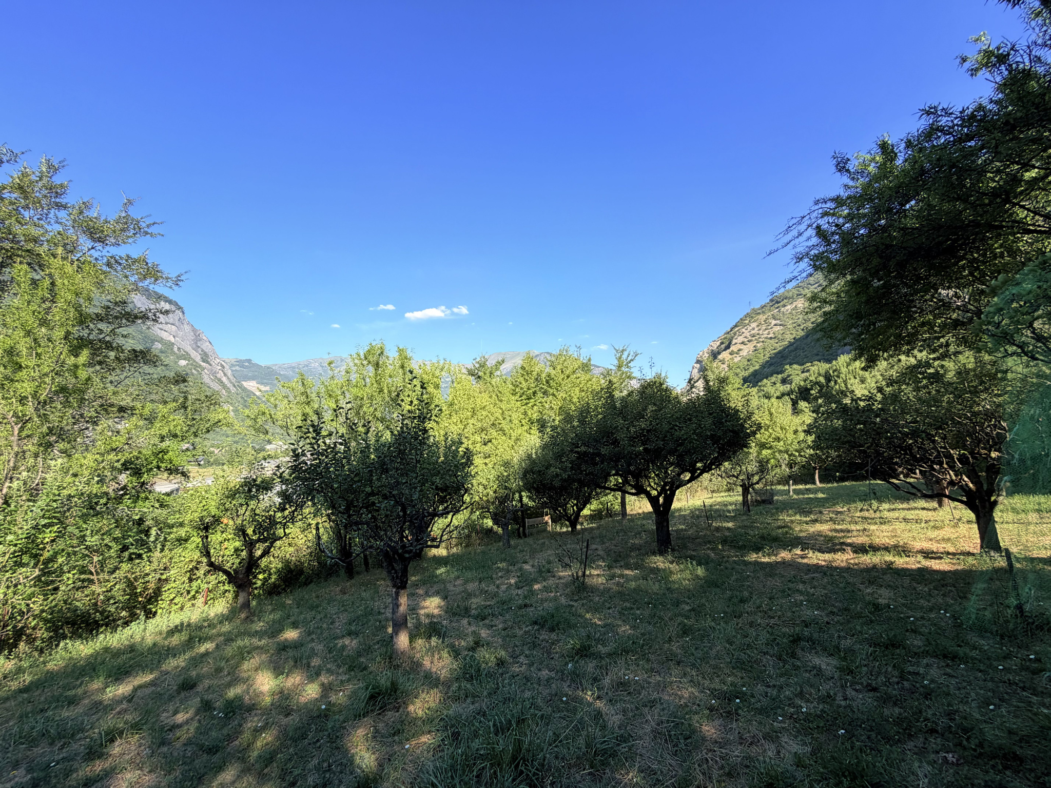 À VENDRE   EXCLUSIVITÉ  (73) SAINT-JULIEN-MONT-DENIS   TERRAIN DE 1 446 m2 DONT 760 m2 CONSTRUCTIBLES #14