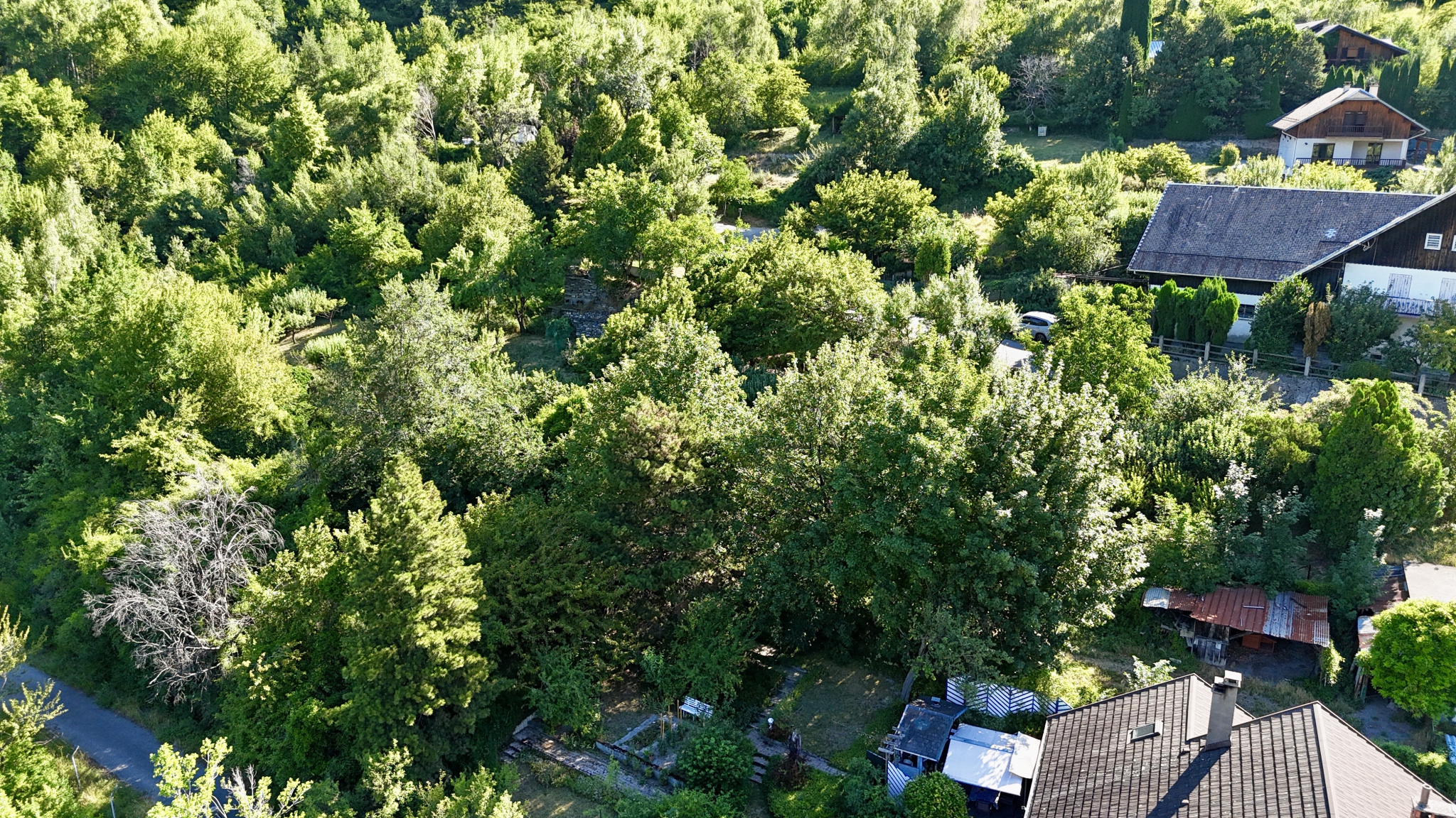 À VENDRE   EXCLUSIVITÉ  (73) SAINT-JULIEN-MONT-DENIS   TERRAIN DE 1 446 m2 DONT 760 m2 CONSTRUCTIBLES #5