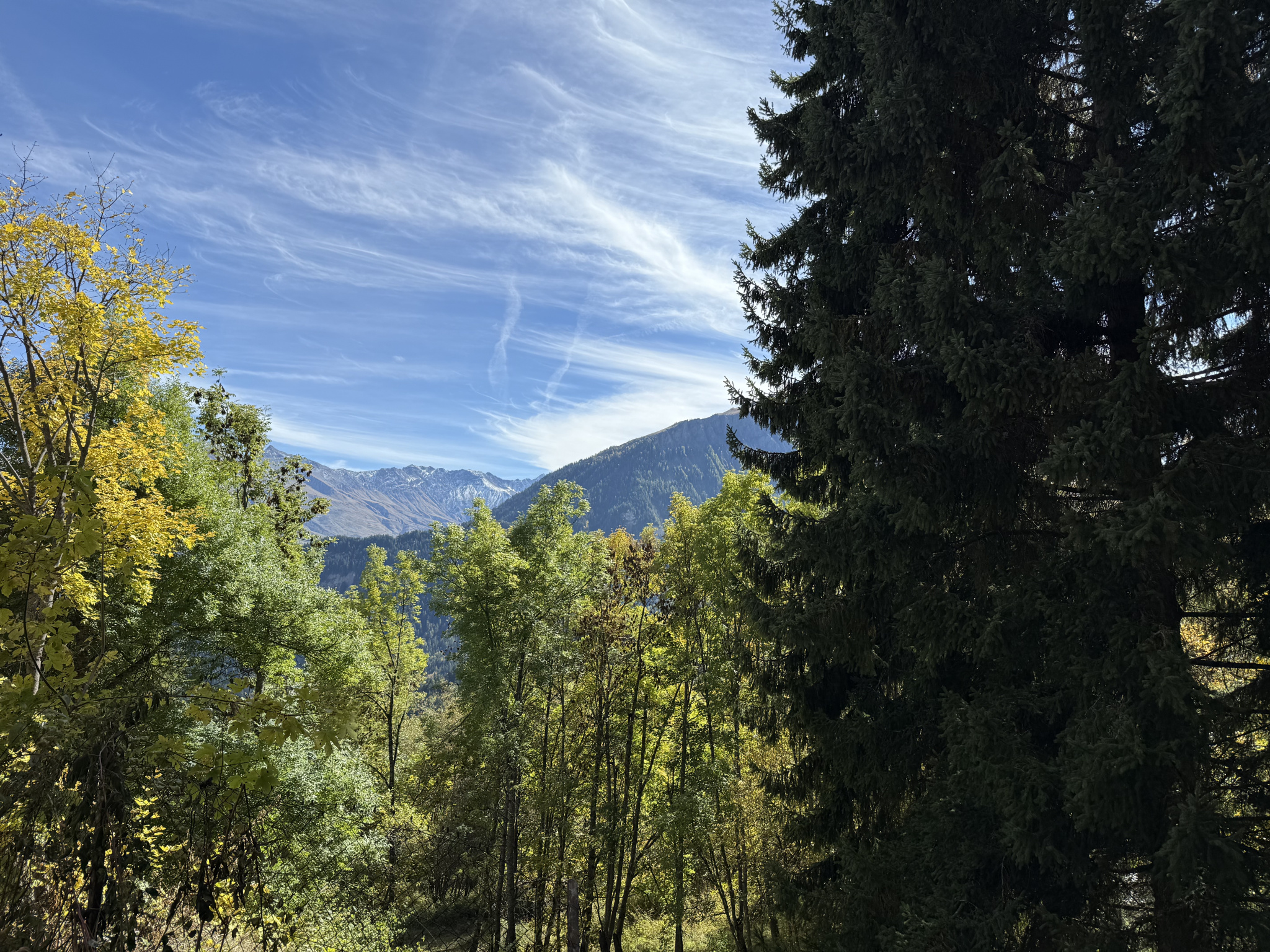 (73) VILLAREMBERT - Chalet d'exception - Vue panoramique - Séjour 70m2 - Grandes chambres - Jardin #22